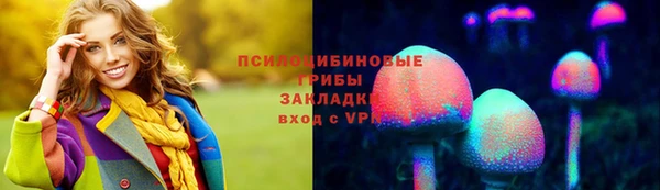 не бодяженный Алексин