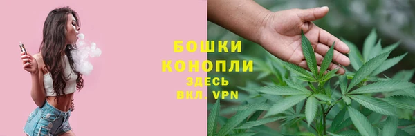 амф Аркадак
