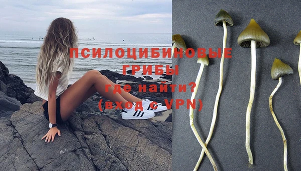 не бодяженный Алексин