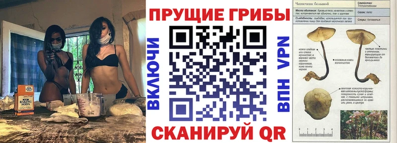 Псилоцибиновые грибы мухоморы Армянск