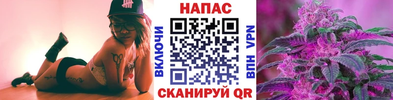 Канабис семена Армянск